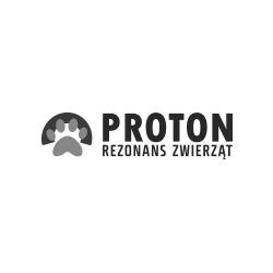 2proton_bw