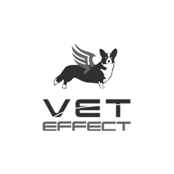 VetEffect_LOGO_bez_tła_kopia
